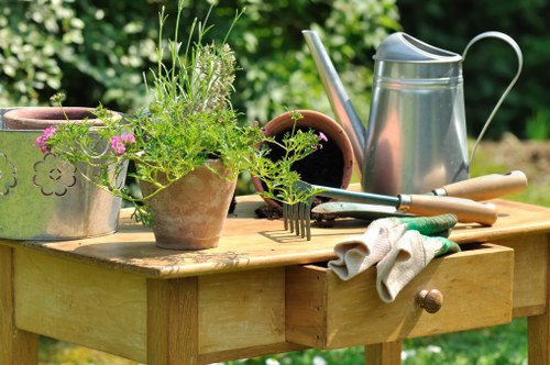 Gardening crew performing routine maintenance in a Cranford backyard