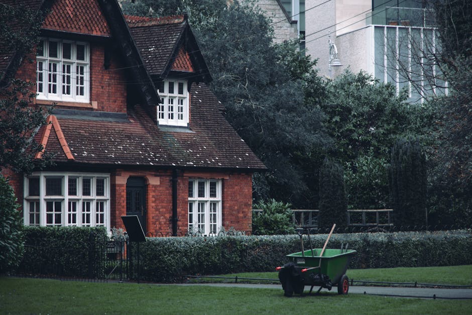 A residential garden adjacent to a brick house with a steep, tiled roof and white framed windows, features neatly trimmed hedges and lush greenery. In the foreground, a green wheelbarrow with red whee